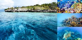 best-diving-spot-bali-indonesia-travel-justgoindonesia-