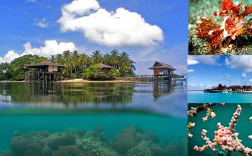 underwater-beauty-island-kalimantan-justgoindonesia-indonesia-travel-maratua